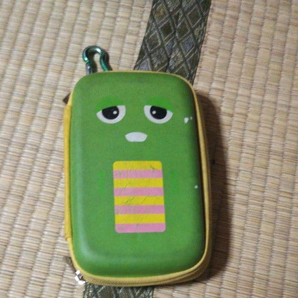 DSとガチャピンのゲームいれセット