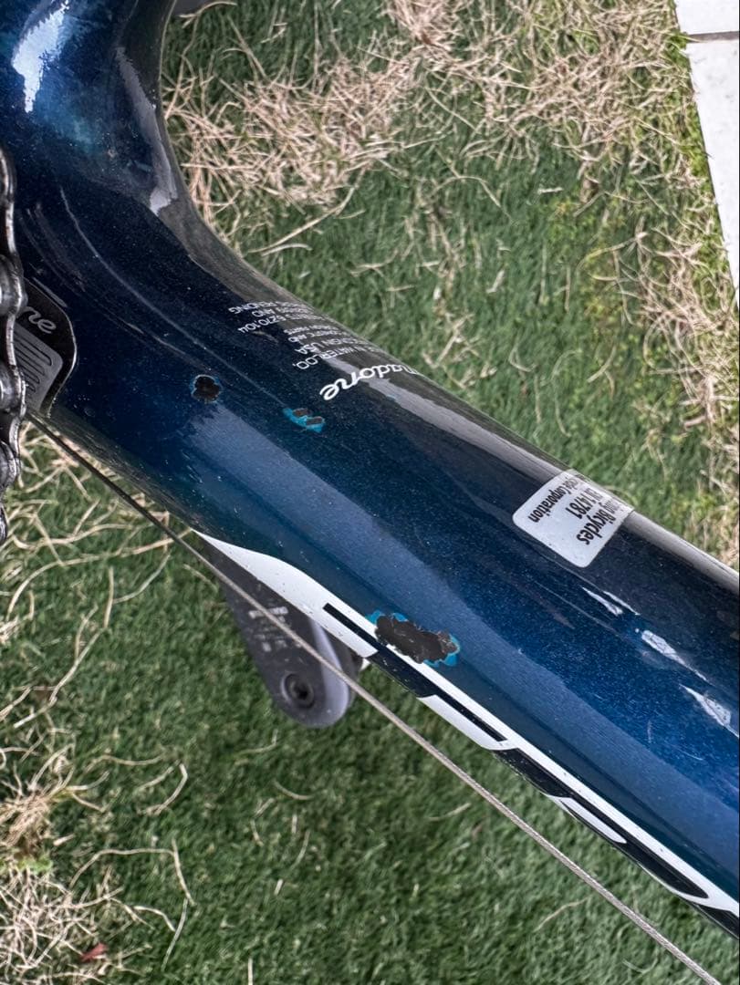 自転車本体 TREK Madone 6.9 Pro Glassit