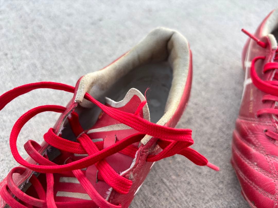 シューズ DS LIGHT X-FLY 5 23.0cm