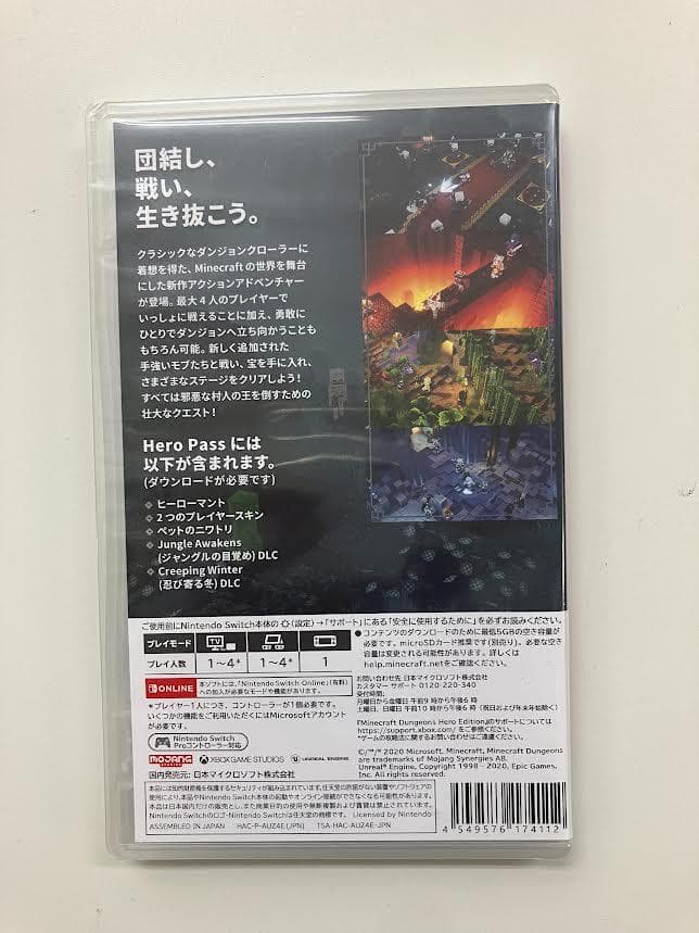 Nintendo Switch Minecraft Dungeons Hero Edition