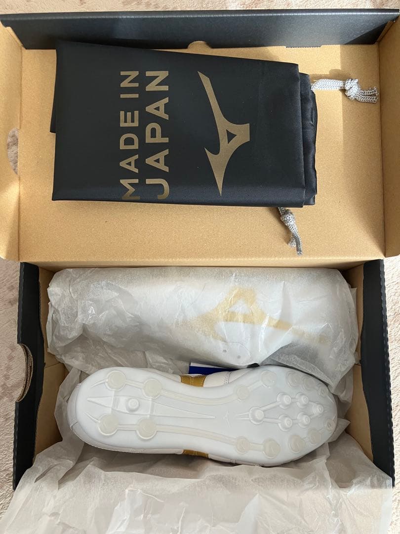 モレリア2 JAPAN AG 25cm