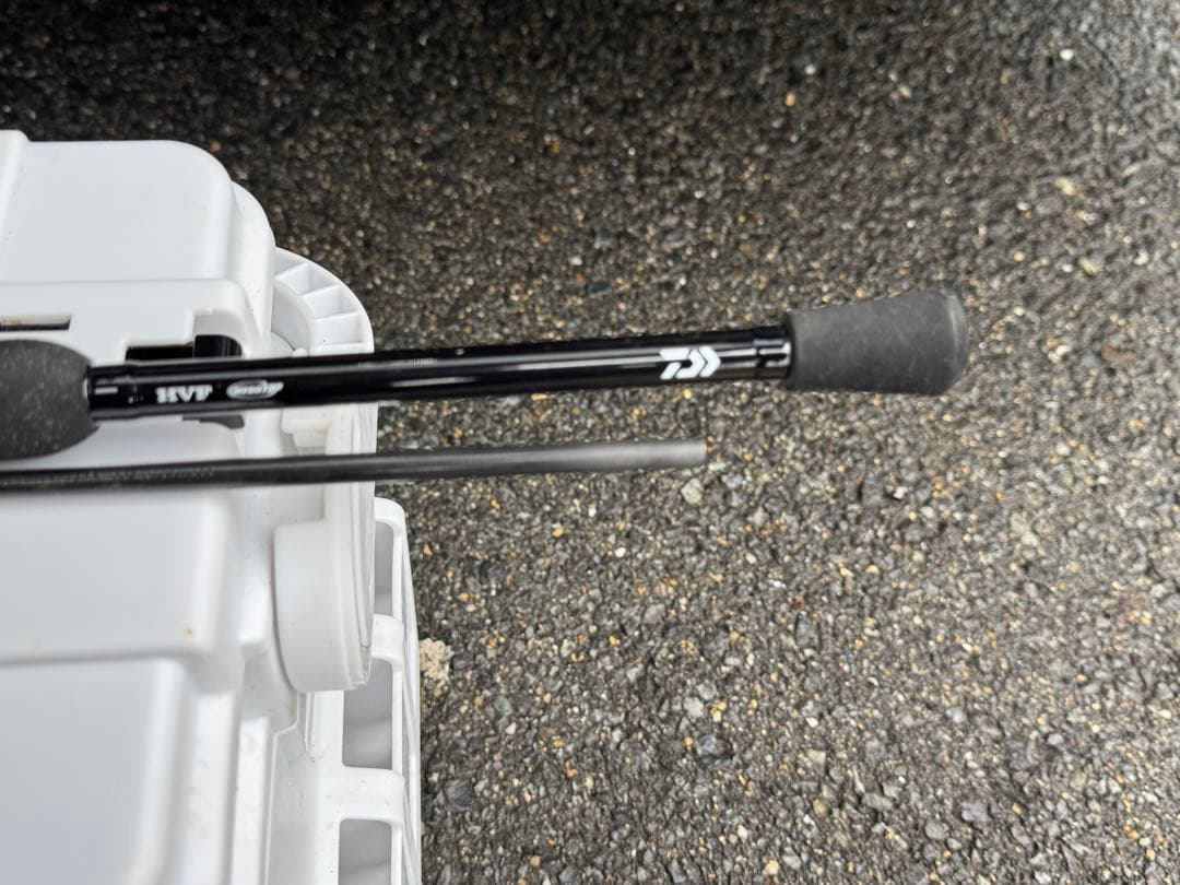 月下美人、アジング